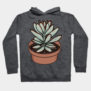 Panda Plant Kalanchoe Tomentosa Succulent Sketch Hoodie